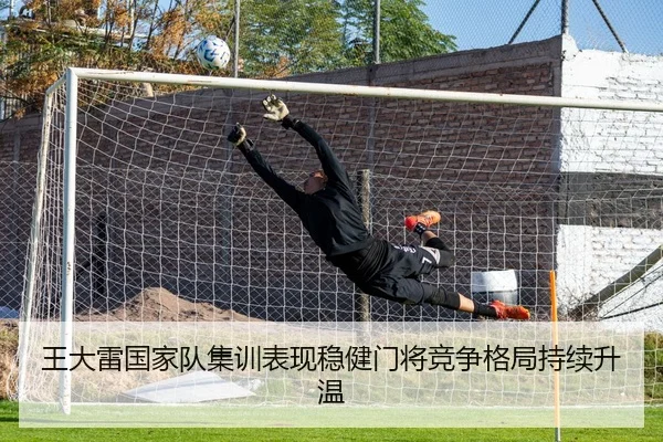 王大雷国家队集训表现稳健门将竞争格局持续升温（ANBOSPORTS）