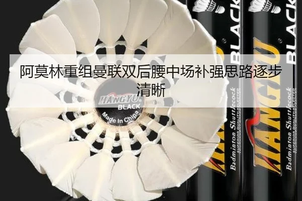 阿莫林重组曼联双后腰中场补强思路逐步清晰（ANBOSPORTS）